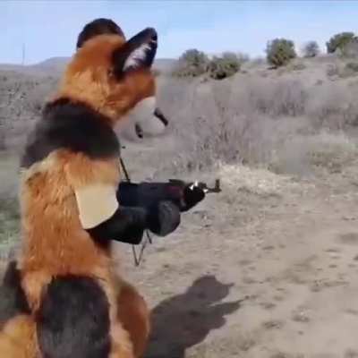 furrygunnit