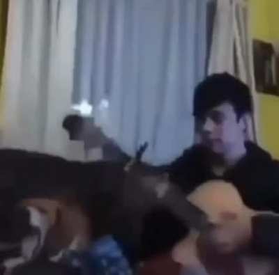 DOG🐶