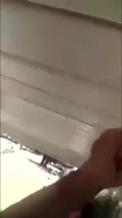 Guy eats bees and dies