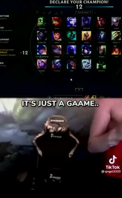 Most Sane Gamer