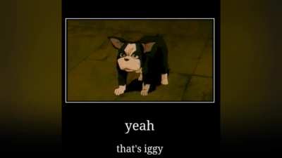 Iggy