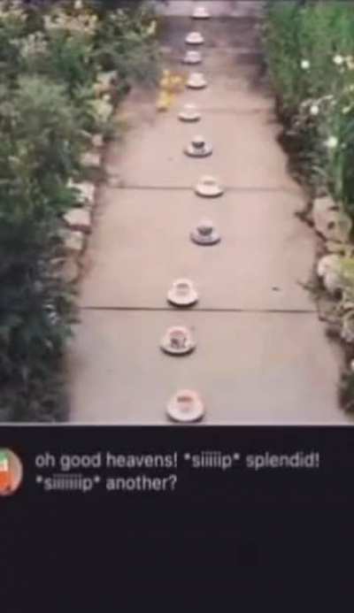 Tea