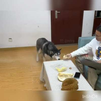Let me have a look