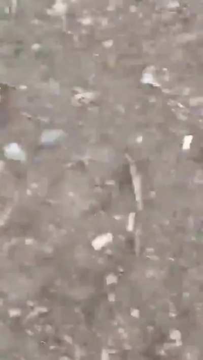 Nagpur: Harshal Revatkar was chased, stabbed with knife, and nearly murdered in broad-daylight by Shoel Kallu Sheikh.  Harshal&acirc;s only fault was that he asked Shoel to remove the signboard of his shop from his field. Upon hearing this, Shoel ran towards 