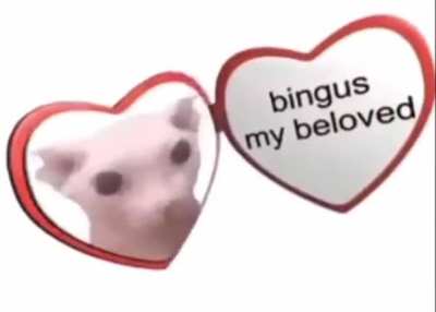 bingis &amp;lt;3 ❤️