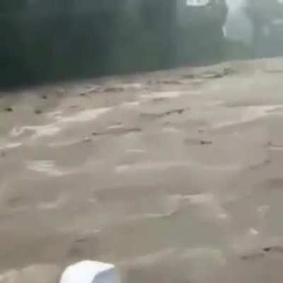 Hell no, to the no no no...