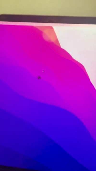 My productivity took a nose dive today thanks to this little bro&hellip;
