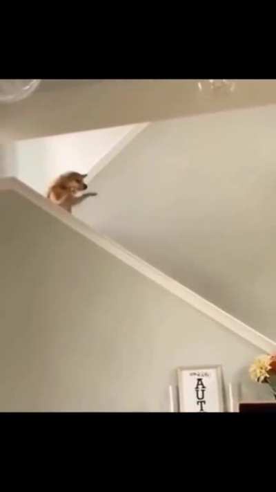 .....