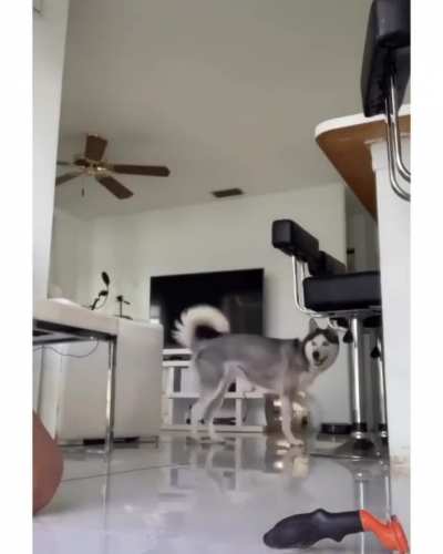 brushy brushy
