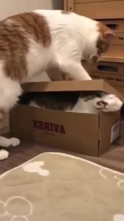 Ready for Shipment