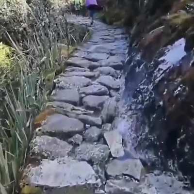 🗿