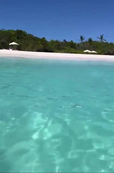 Pia Wurtzbach Swimming Bikini