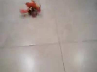 Loberbot