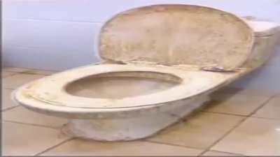 rule (toilet warning!)