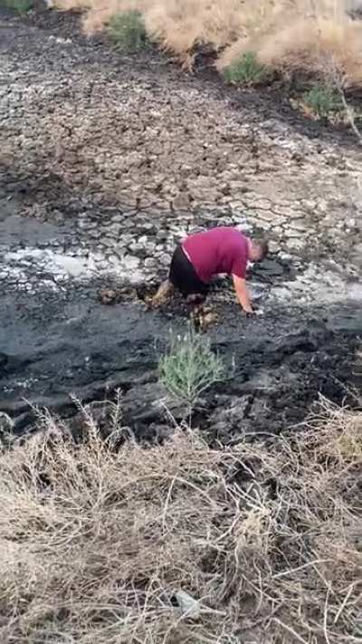 My friend tried to walk on a pile of poop