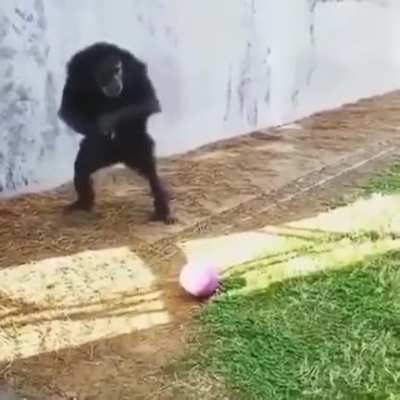 MUCA NA CARREIRA DE FUTEBOL