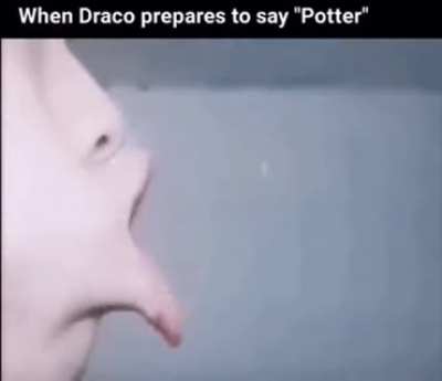 You&rsquo;re a Harry wizard