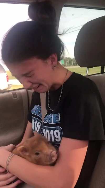 Surprised with a baby pig!