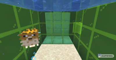 singing pufferfish thing (turn on sound)