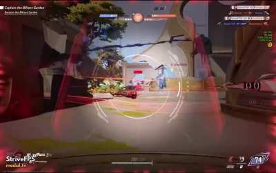When the corpses landed next to each other, I almost felt bad&hellip; almost.