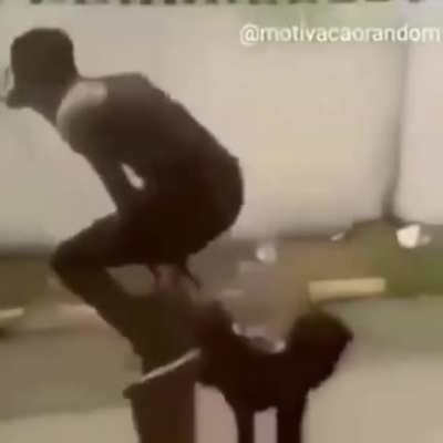 Ahora entiendo el sentido de la vida. Os voy a iluminar la mente y quitaros vuestra depresi&oacute;n con este video.
