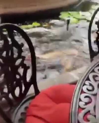 HMC While i take a bath into the pond