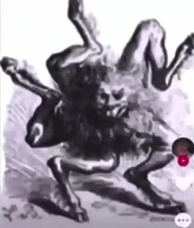 xddd