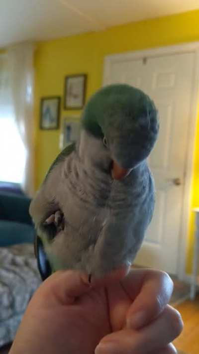 Dovah also has a secret foot in her underfluffies!