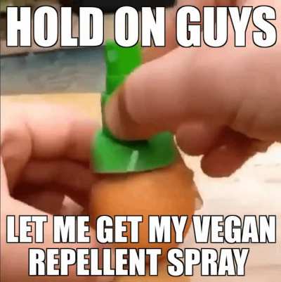 Gotta spray them all 😼😻