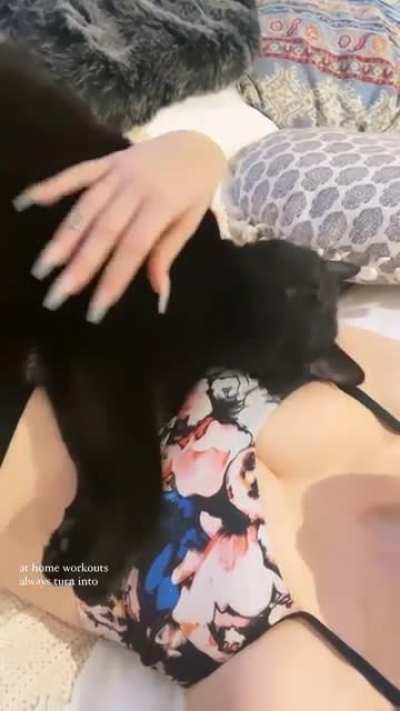 Ig