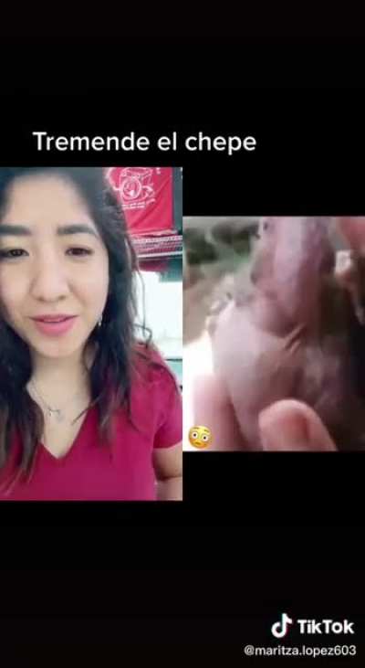 They also like sexting