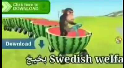 Melon Monkey!!?????? 😳