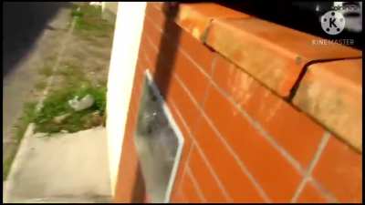 Invadindo casas parte 1