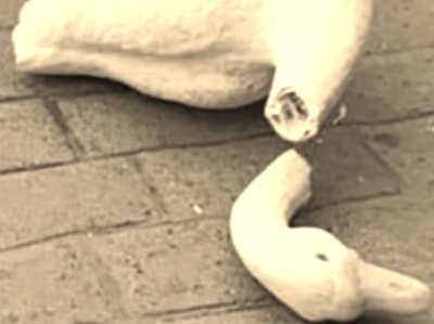 Duckganronpa (Warning: VERY SAD)