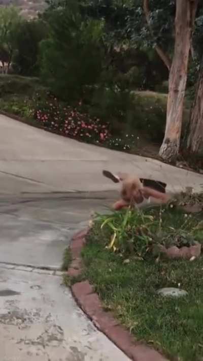 to skateboard