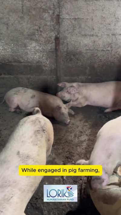 Helping a displaced Artsakh farmer keep his small business alive