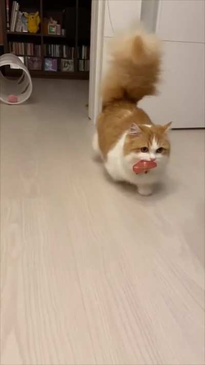 Good CaT