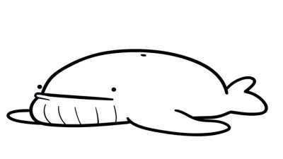 Come in let&rsquo;s do the whale dance