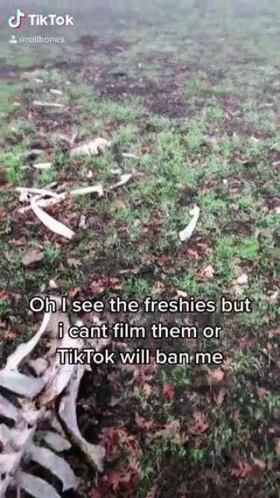 Necromance Time