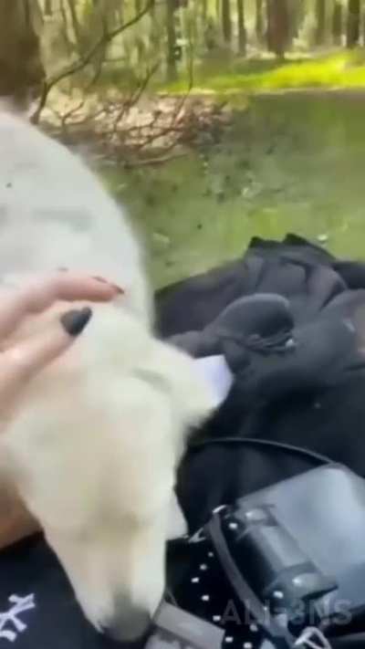 He Took The Cheese