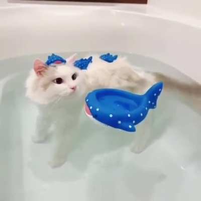 Float