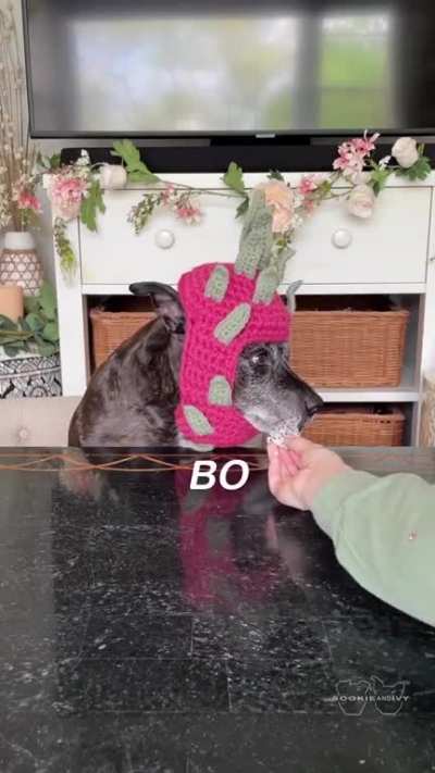 Multiple cut borks