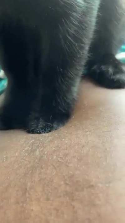 I&rsquo;m new to cats my cat does this every morning is this normal?