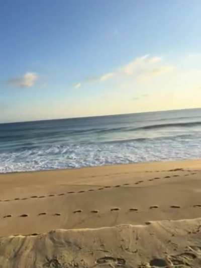 chasing sunsets [GIF]