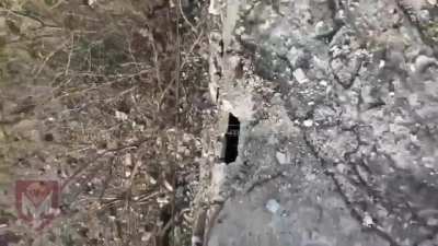 You can run but you can't hide