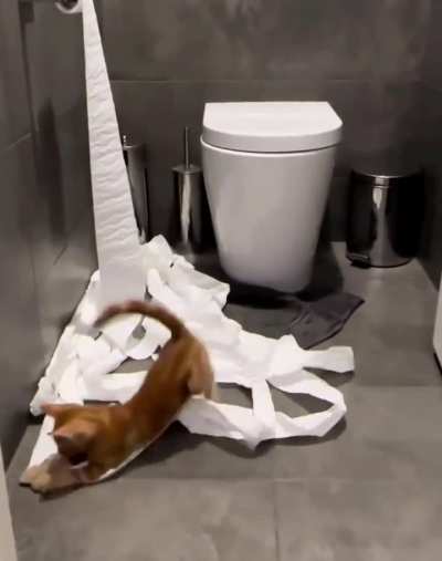 I just left it for a few minutes...