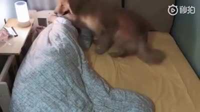 Doesn&rsquo;t matter how big the bed is, the problem will be the same.