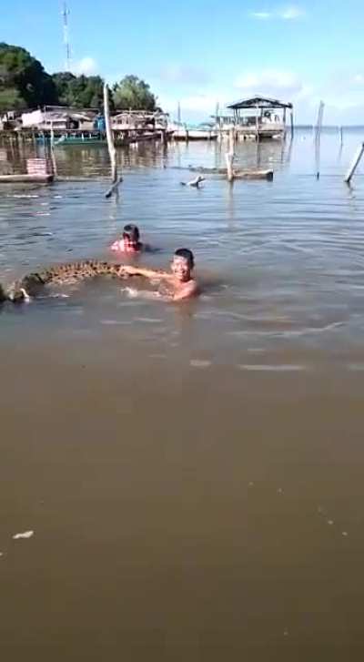 Their new pet.