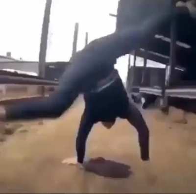 Insane in the poo brain
