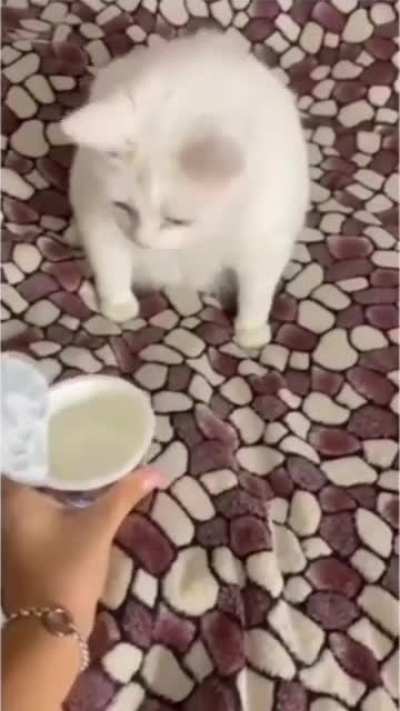 Smell test gone wrong
